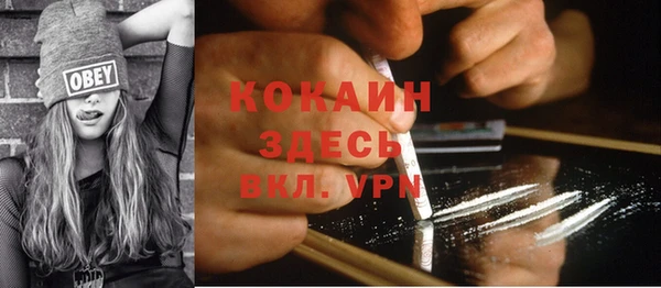 винт Щучье