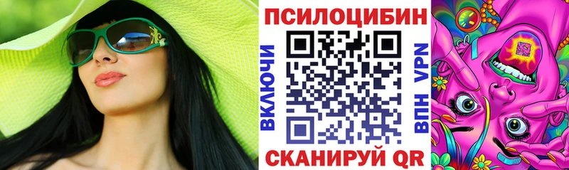 купить   Курган  Псилоцибиновые грибы мицелий 