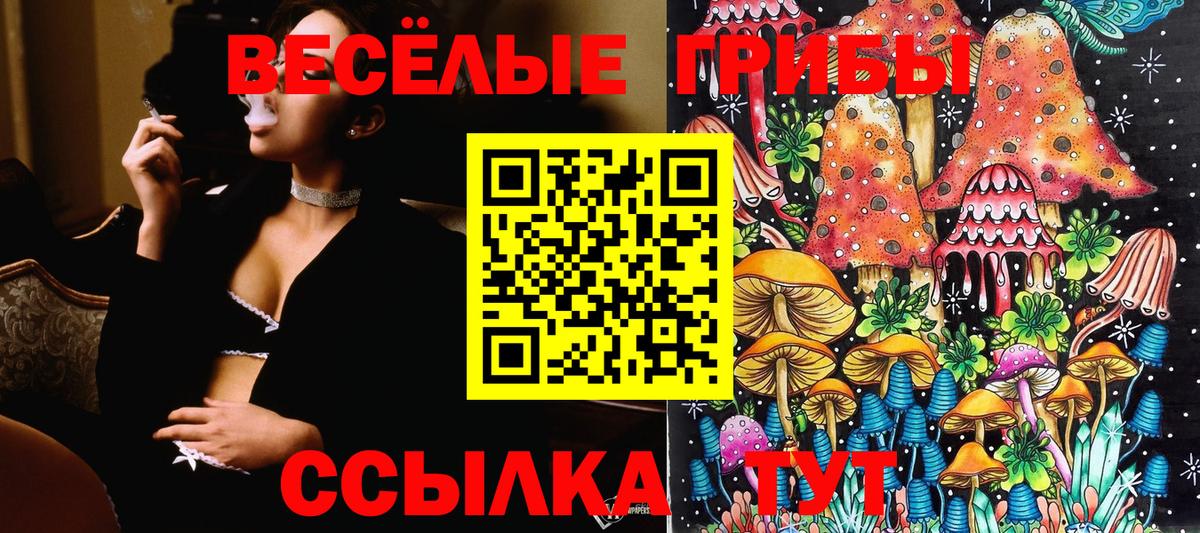 Курган  Гашиш  Вход с VPN  МЕФ кристаллы  КОКАИН  Гашиш  Каннабис 