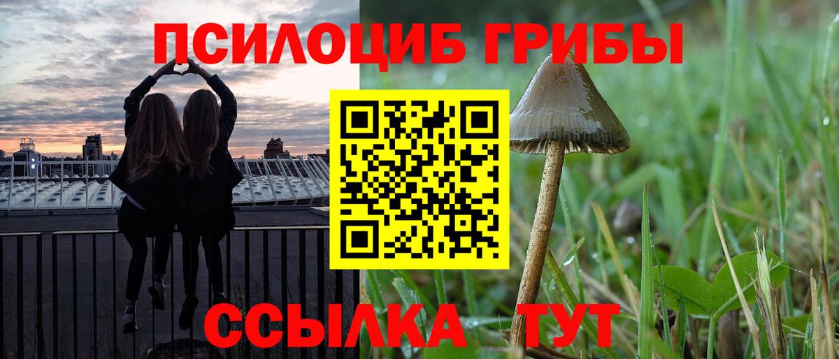 Псилоцибиновые грибы Magic Shrooms Курган